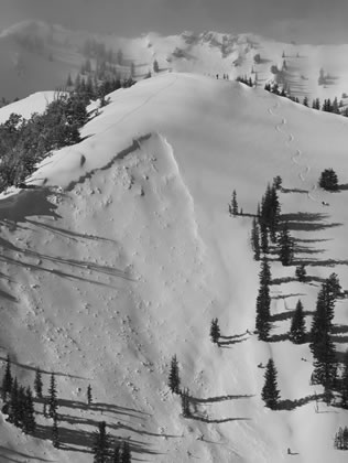 Avalanche with adjacent skier in Silver Fork