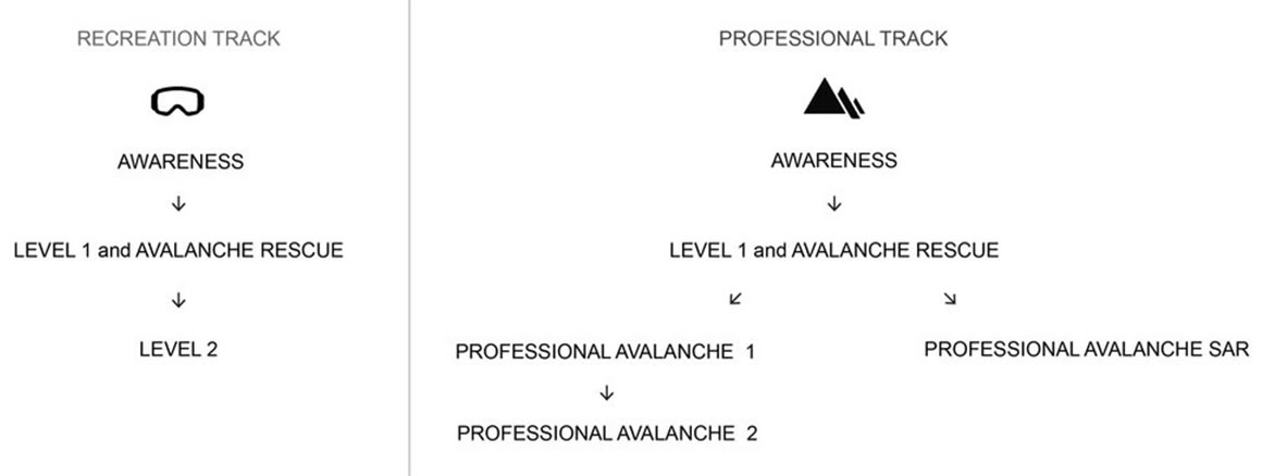 Avalanche Education Progression: Recreation and Professional Tracks