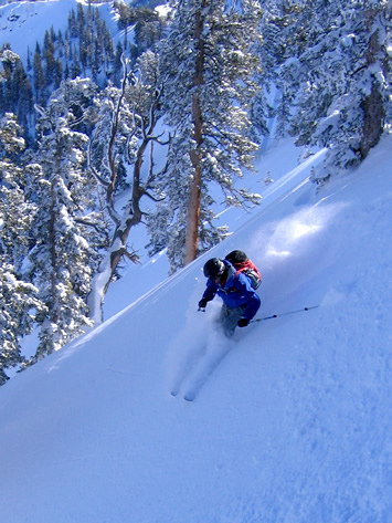 Wasatch Sampler 3-Day Backcountry Skiing Clinic